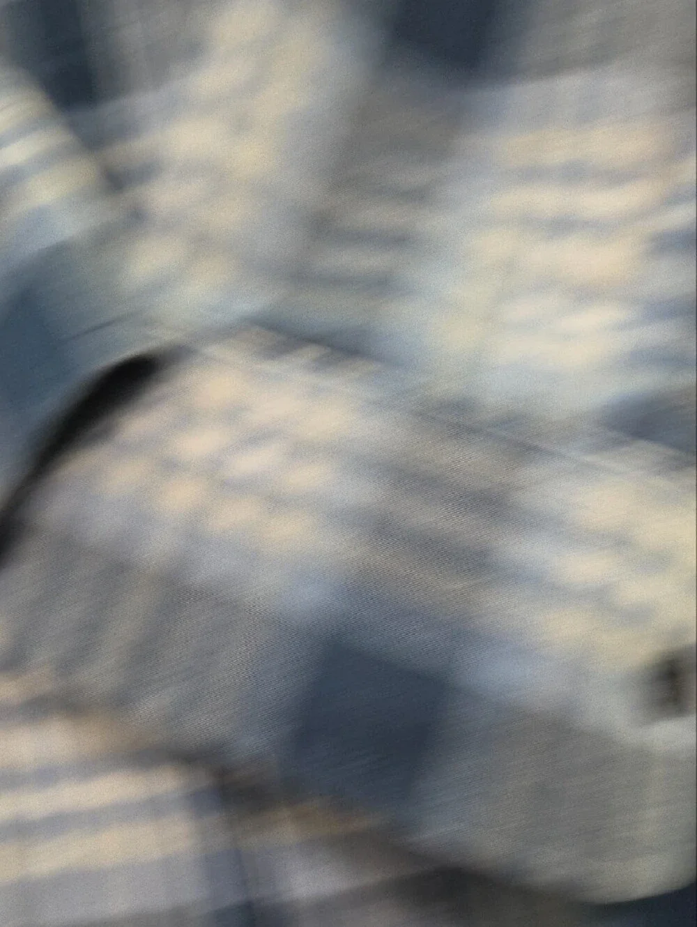 Banana Republic Blue and White Plaid Button-Down Shirt